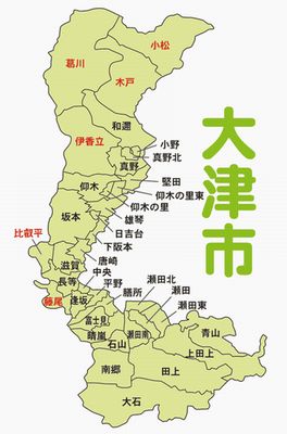 高所、難所のアシナガバチ、スズメバチ蜂の巣駆除