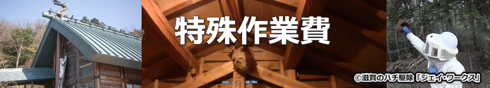 東近江市のハチ駆除特殊作業費